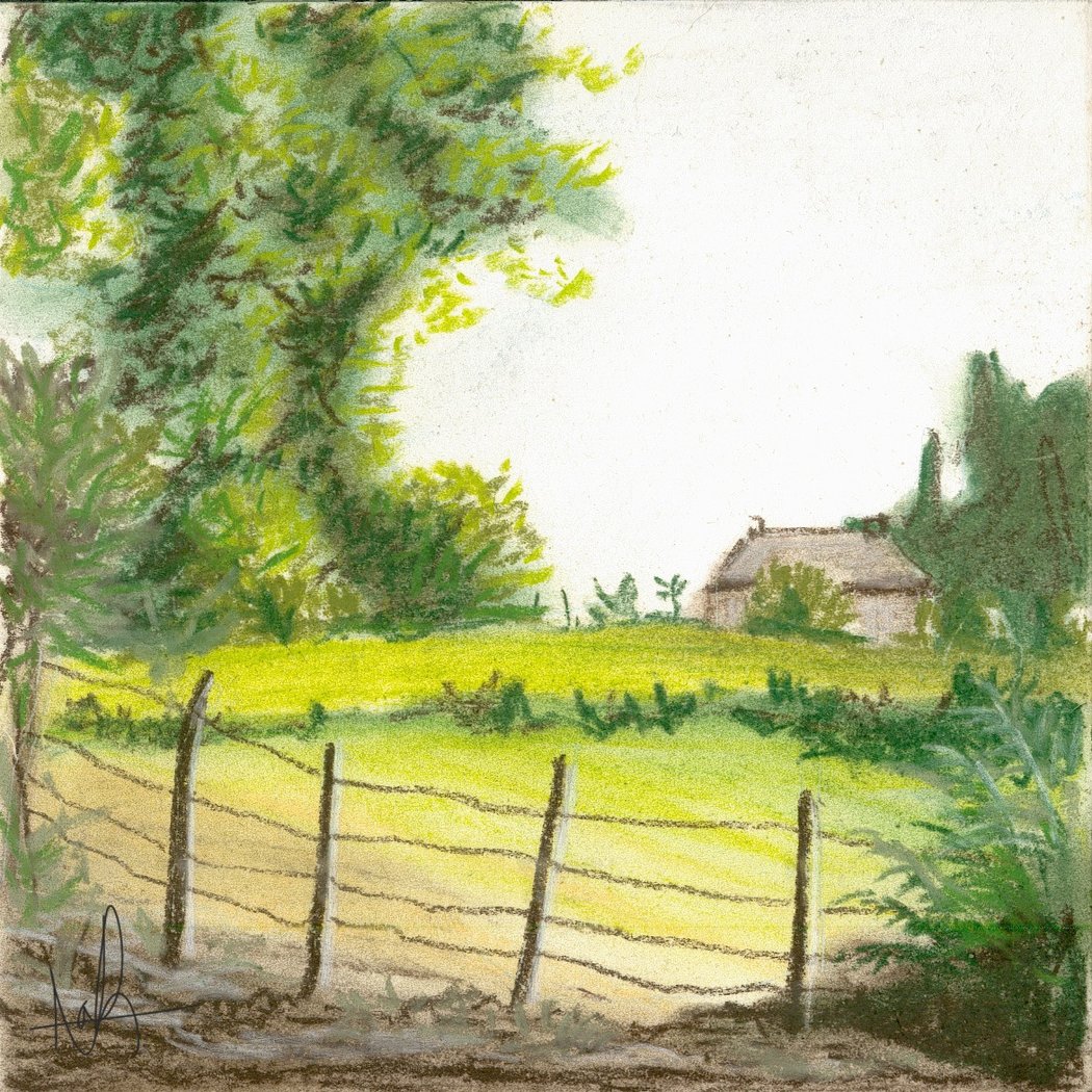 Drawing Classes Art Workshop Graphic Nathalie Flichy 2